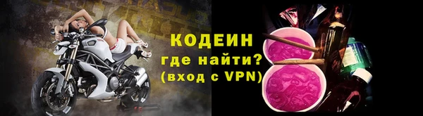 прущие грибы Бородино