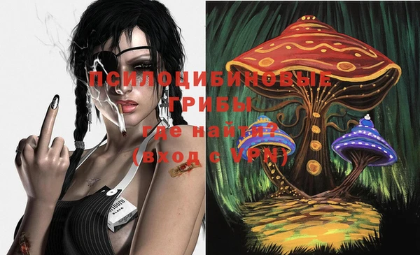 марки lsd Бугульма